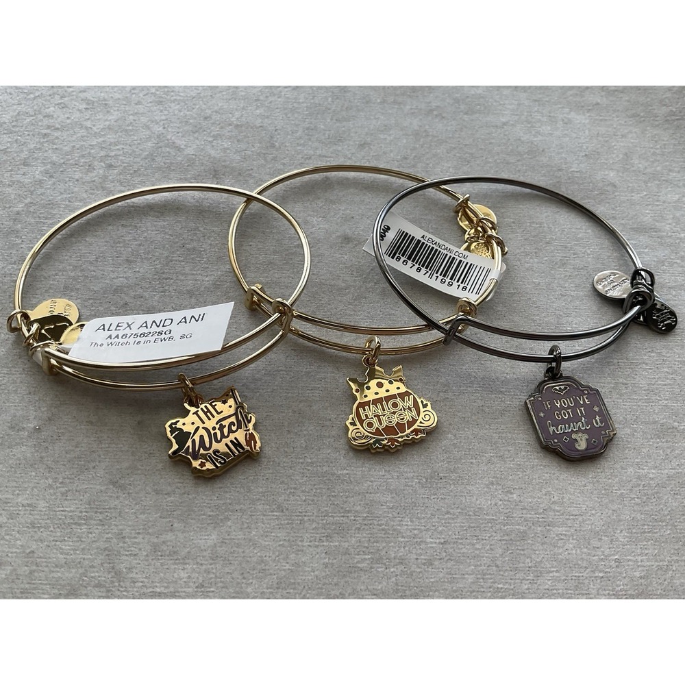 Lot Of 3 Alex And Ani Halloween Charm Bracelet Halloween Queen Witch Is In Ect